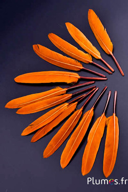 Gans - 10-15 cm - aztekengold